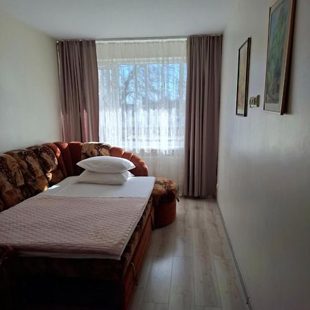Apartamentai Vytauto 16 Druskininkai Kültér fotó